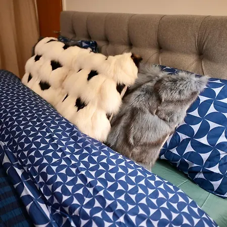 Christmas Wonderland 125squar Meter Great Location 别墅 *