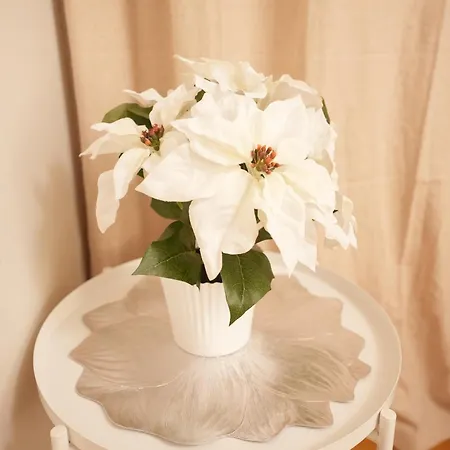 Christmas Wonderland 125squar Meter Great Location * Рованиеми