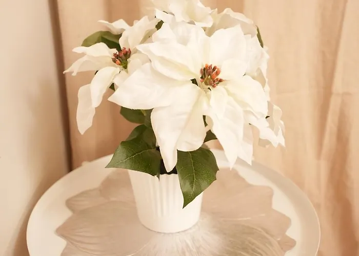 Christmas Wonderland 125squar Meter Great Location * Рованиеми